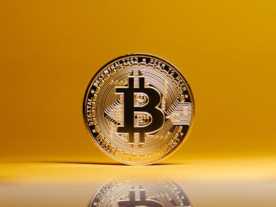 pexels-photo-14891545