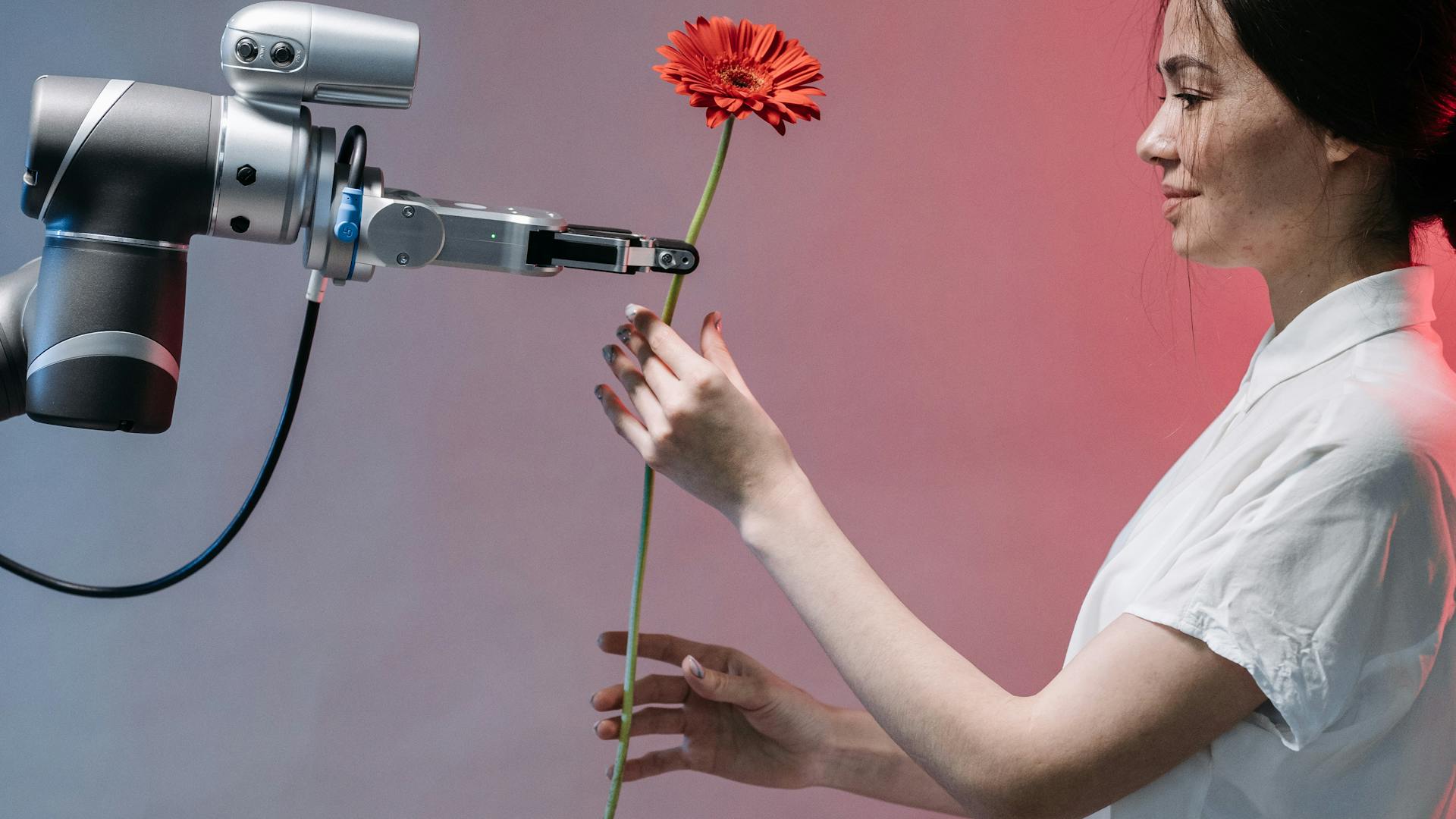 pexels-photo-8438979